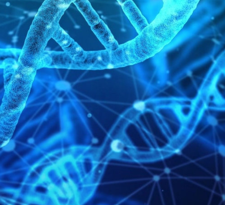 Call for Artists: Join Manchester’s next Social Experiment at Contact