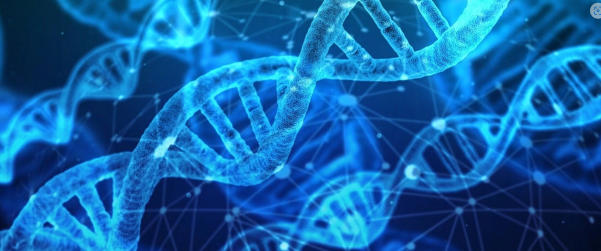 Call for Artists: Join Manchester’s next Social Experiment at Contact